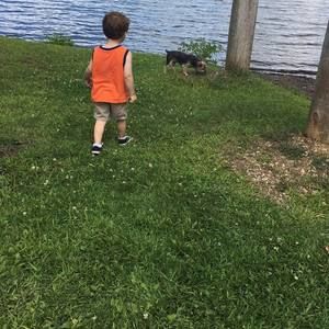 Meet your Posher, Dawn